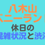 八木山ベニーランド 休日の混雑状況と渋滞